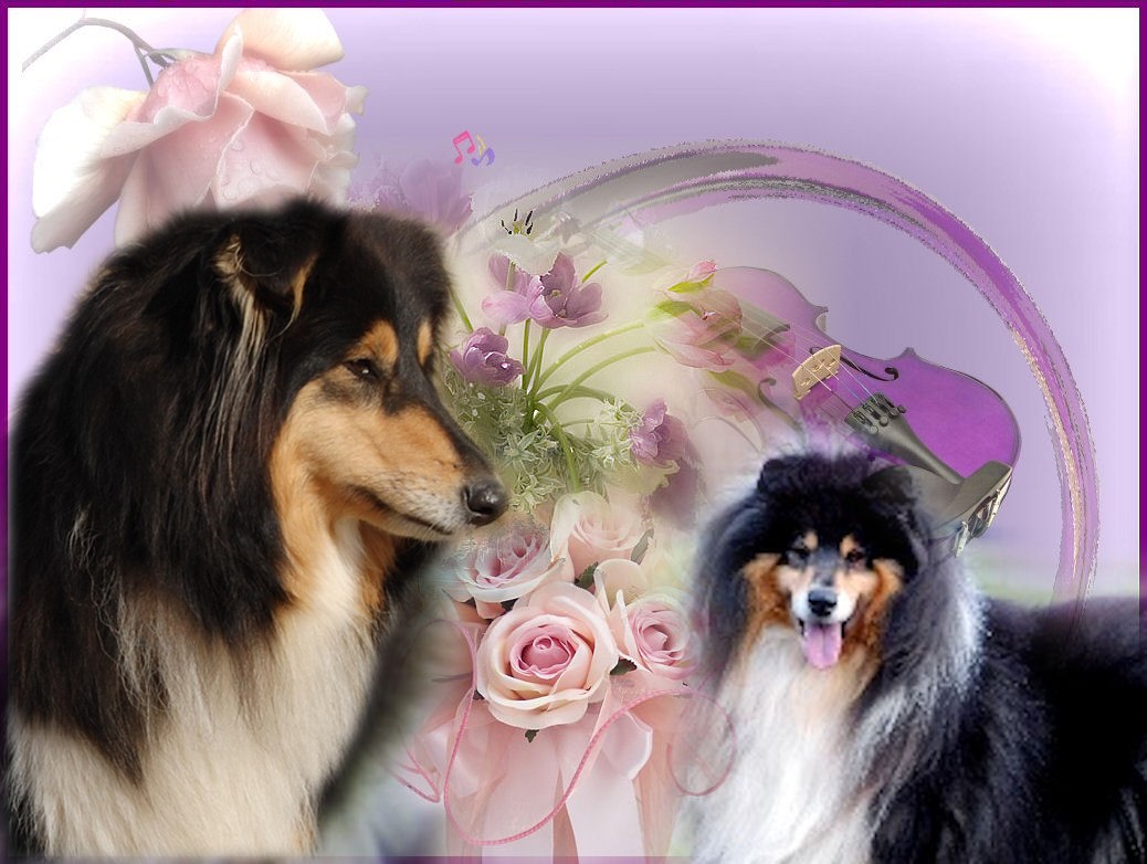 Image h�berg�e par Casimages.com : votre h�bergeur d images simple et gratuit