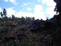 DSC00004