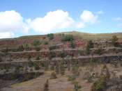 DSC00021