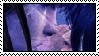 Image h�berg�e par Casimages.com : votre h�bergeur d images simple et gratuit