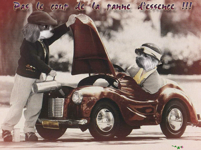 Image h�berg�e par Casimages.com : votre h�bergeur d images simple et gratuit