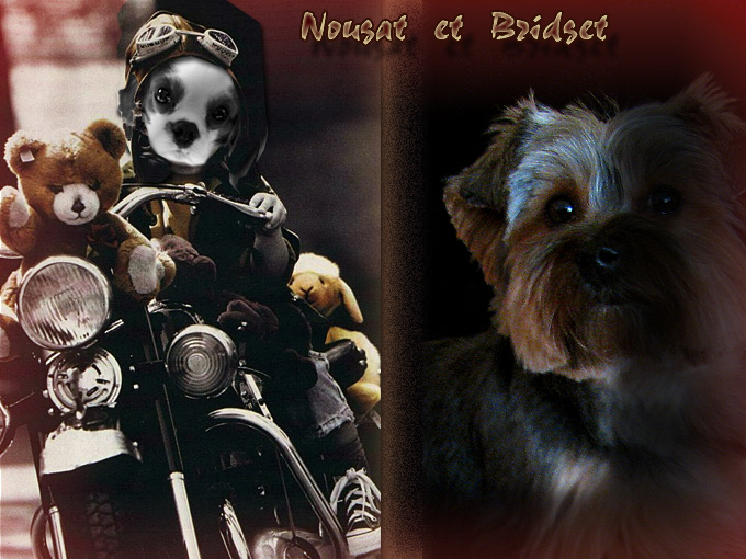 Image h�berg�e par Casimages.com : votre h�bergeur d images simple et gratuit