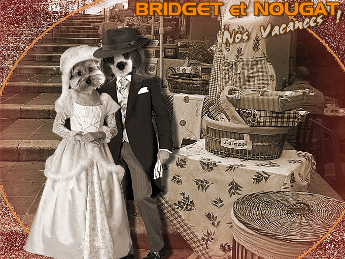 Image h�berg�e par Casimages.com : votre h�bergeur d images simple et gratuit