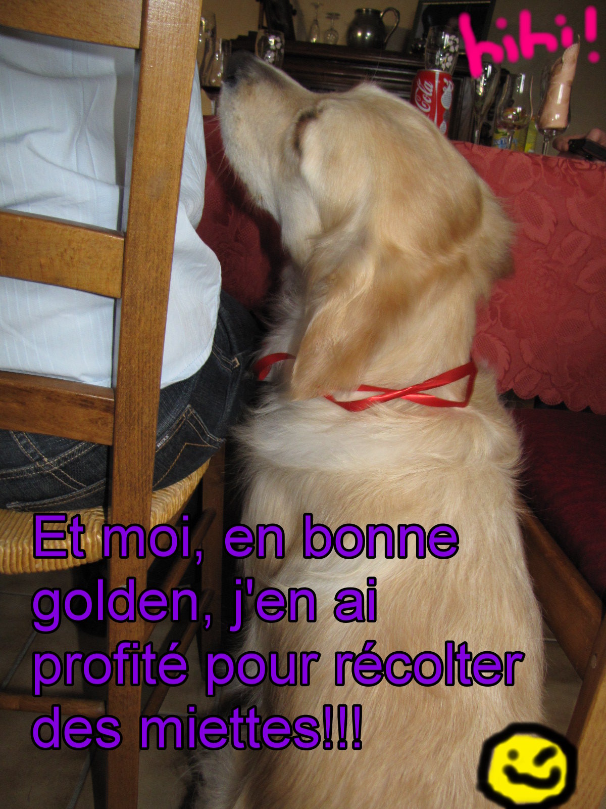 voir l'image en taille r�elle
