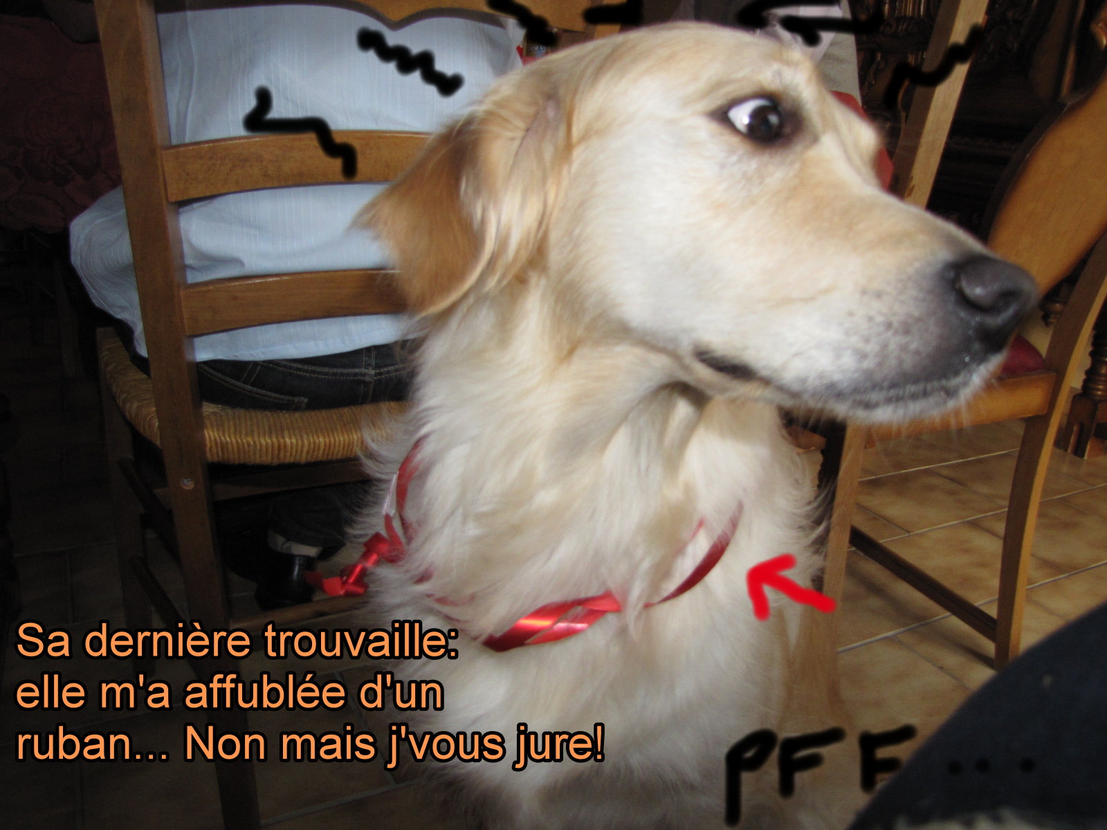 voir l'image en taille r�elle