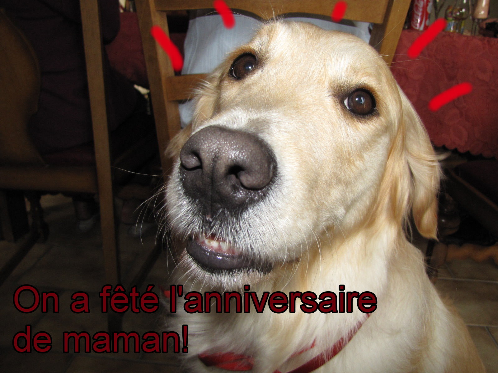 voir l'image en taille r�elle