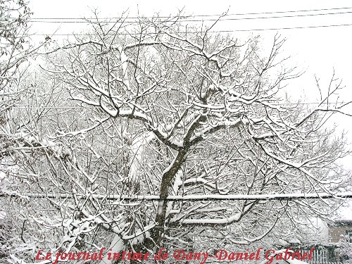 hiver 2010 sherbrooke dany daniel gabriel