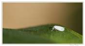 006-2_20100222-_Inc