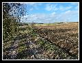 Sailly_promenade_01