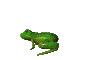 Image hébergée par Casimages.com : votre hébergeur d images simple et gratuit