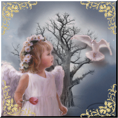 Image h�berg�e par Casimages.com : votre h�bergeur d images simple et gratuit