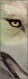Ce forum est verrouillé, vous ne pouvez pas poster, ni répondre, ni éditer les sujets.