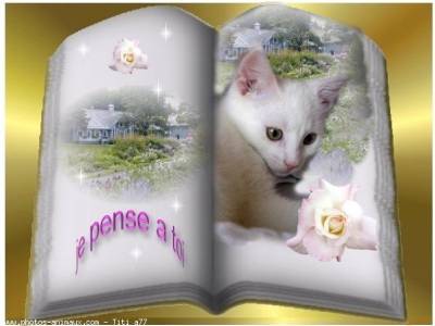 Image h�berg�e par Casimages.com : votre h�bergeur d images simple et gratuit