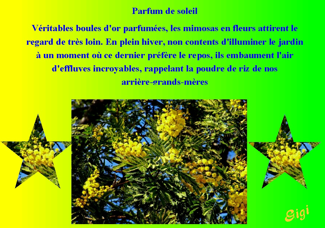 Image h�berg�e par Casimages.com : votre h�bergeur d images simple et gratuit