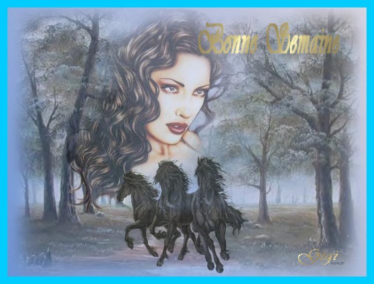 Image h�berg�e par Casimages.com : votre h�bergeur d images simple et gratuit