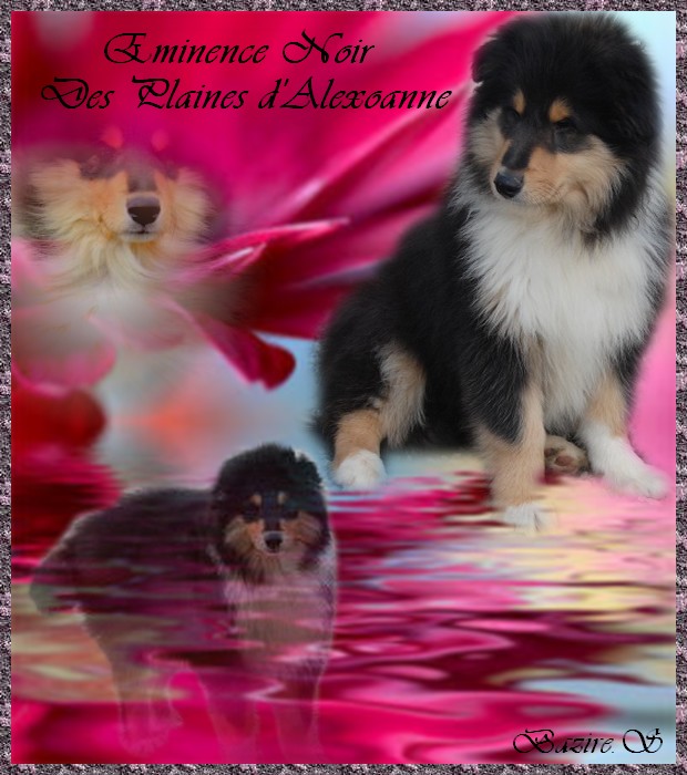 Image h�berg�e par Casimages.com : votre h�bergeur d images simple et gratuit