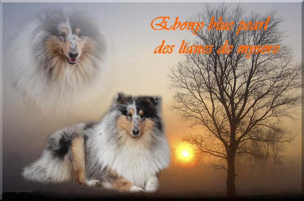 Image h�berg�e par Casimages.com : votre h�bergeur d images simple et gratuit