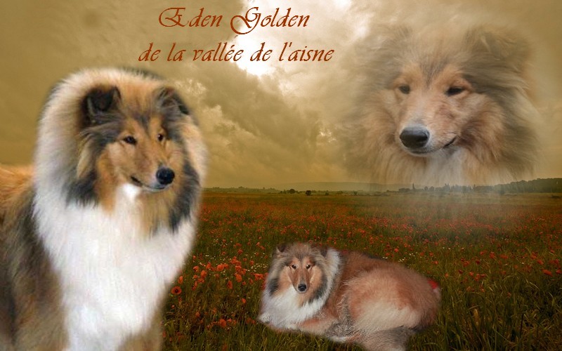 Image h�berg�e par Casimages.com : votre h�bergeur d images simple et gratuit
