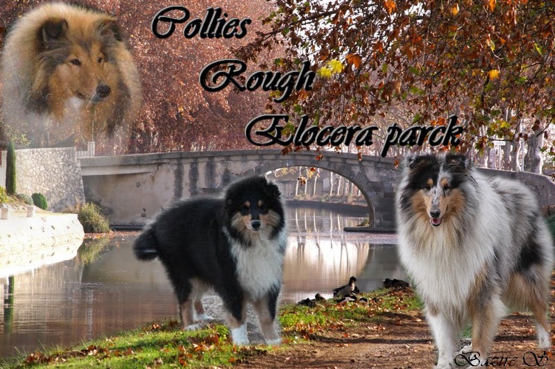 Image h�berg�e par Casimages.com : votre h�bergeur d images simple et gratuit