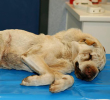 Image h�berg�e par Casimages.com : votre h�bergeur d images simple et gratuit