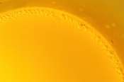 raynox_enpassant-01277