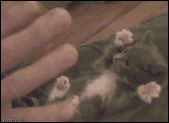 http://nsm03.casimages.com/img/2010/03/03/100303013722943905554596.gif