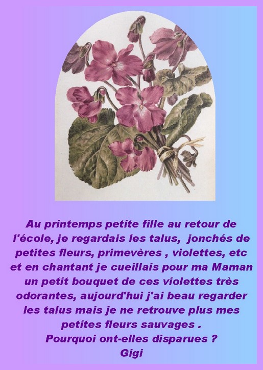 Image h�berg�e par Casimages.com : votre h�bergeur d images simple et gratuit