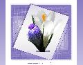 Hebergement gratuit d image et photo