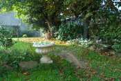 jardin