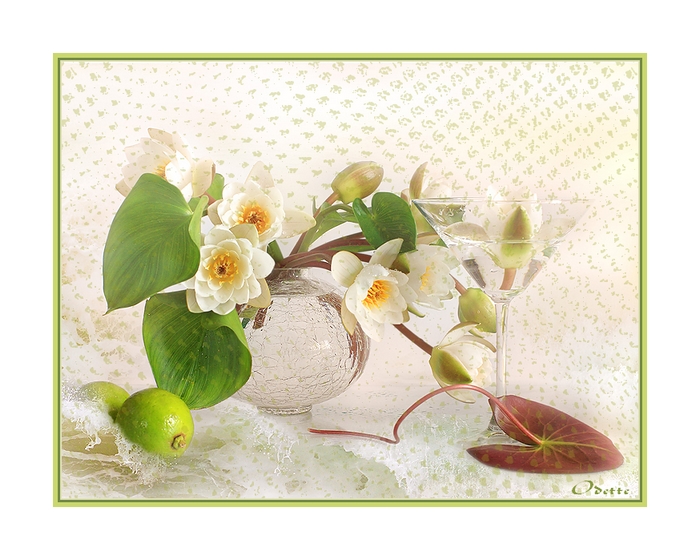 bouquet nenuphars