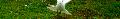 Cliquez pour afficher l'image en taille r�elle