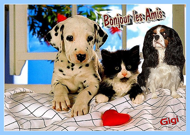 Image h�berg�e par Casimages.com : votre h�bergeur d images simple et gratuit