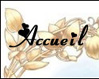 Accueil