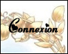 Connexion