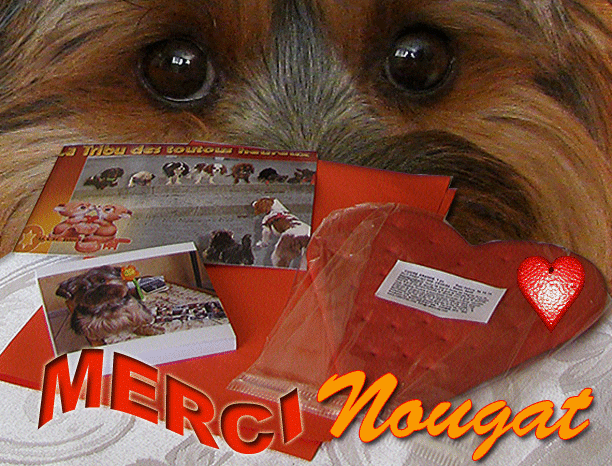 Image h�berg�e par Casimages.com : votre h�bergeur d images simple et gratuit
