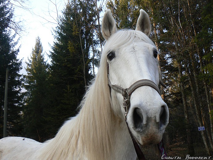 Image h�berg�e par Casimages.com : votre h�bergeur d images simple et gratuit