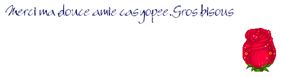 voir l'image en taille r�elle