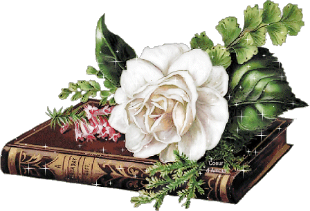 Image h�berg�e par Casimages.com : votre h�bergeur d images simple et gratuit