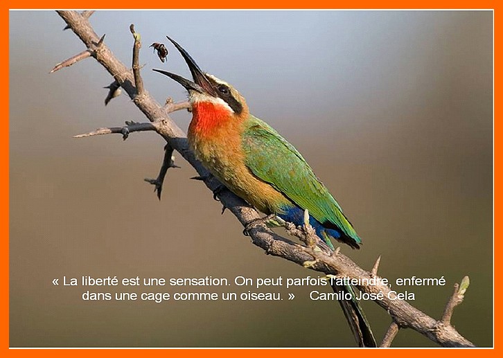 Image h�berg�e par Casimages.com : votre h�bergeur d images simple et gratuit