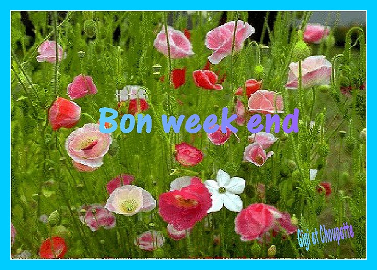 Image h�berg�e par Casimages.com : votre h�bergeur d images simple et gratuit