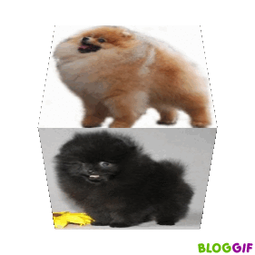 Image h�berg�e par Casimages.com : votre h�bergeur d images simple et gratuit