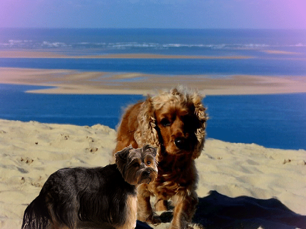 Image h�berg�e par Casimages.com : votre h�bergeur d images simple et gratuit