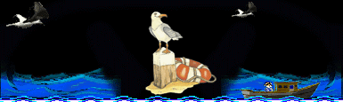 Image h�berg�e par Casimages.com : votre h�bergeur d images simple et gratuit