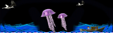 Image h�berg�e par Casimages.com : votre h�bergeur d images simple et gratuit