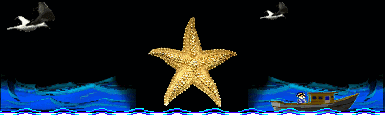 Image h�berg�e par Casimages.com : votre h�bergeur d images simple et gratuit