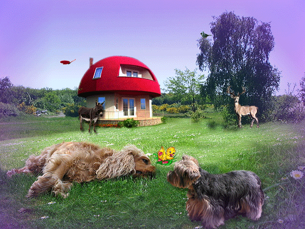 Image h�berg�e par Casimages.com : votre h�bergeur d images simple et gratuit