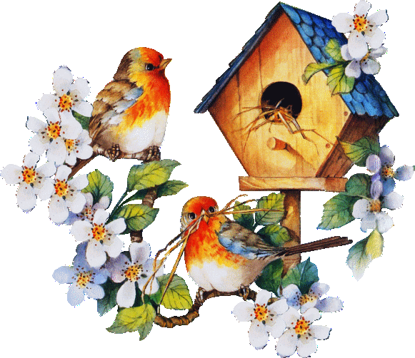 Image hébergée par Casimages.com : votre hébergeur d images simple et gratuit