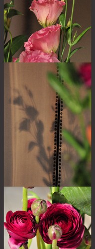Image hébergée par Casimages.com : votre hébergeur d images simple et gratuit