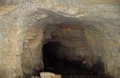 MINE