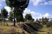 LA MINE DEVASTEE